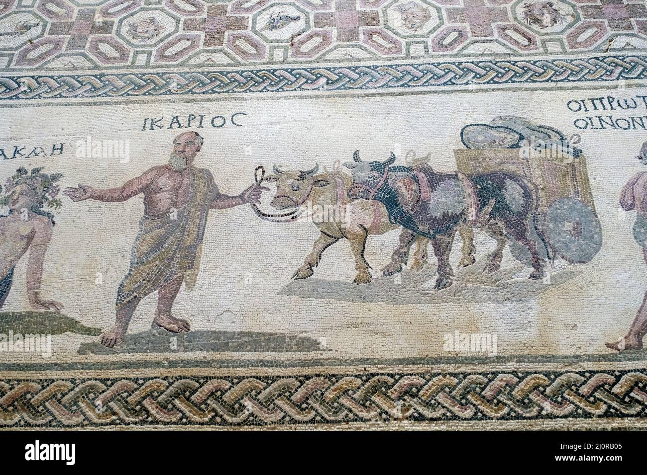 House of Dionysos, Cyprus: Roman floor mosaic panel depicts Icarios holding the reins of an ox-driven double wheeled cart, filled with sacks of wine. Stock Photo