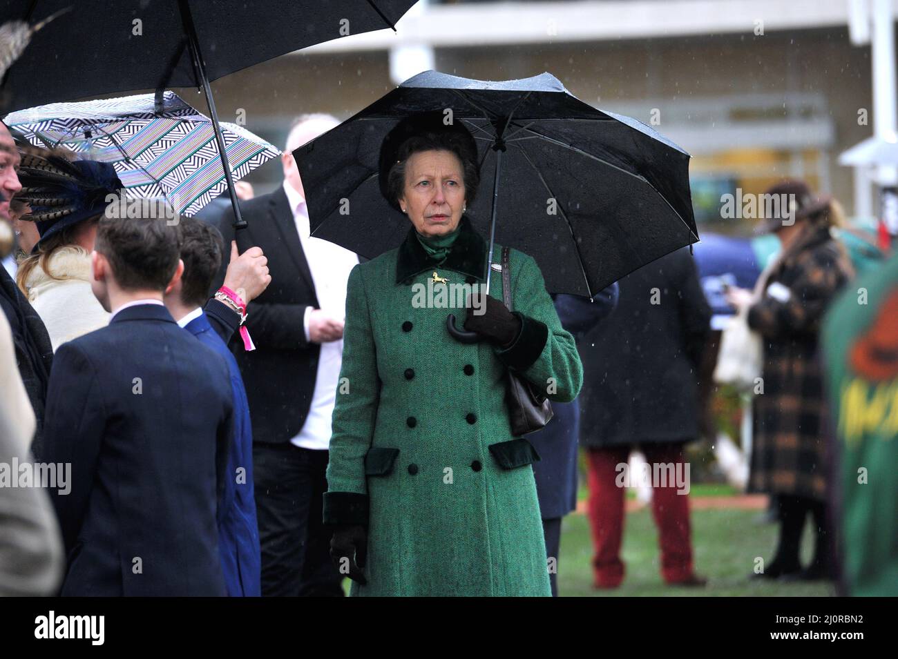 Princess Anne in the parade ring Day 2, racing at the Cheltenham Gold