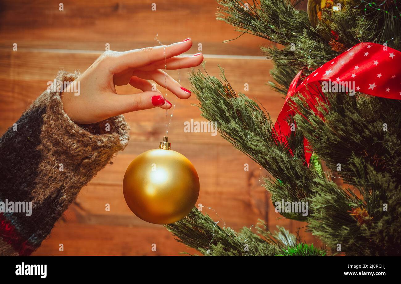 Female Hand with Red Manicure Decorates the Branch of Christmas Tree with a Golden Christmas Ball. Close- up . Wood background Stock Photo
