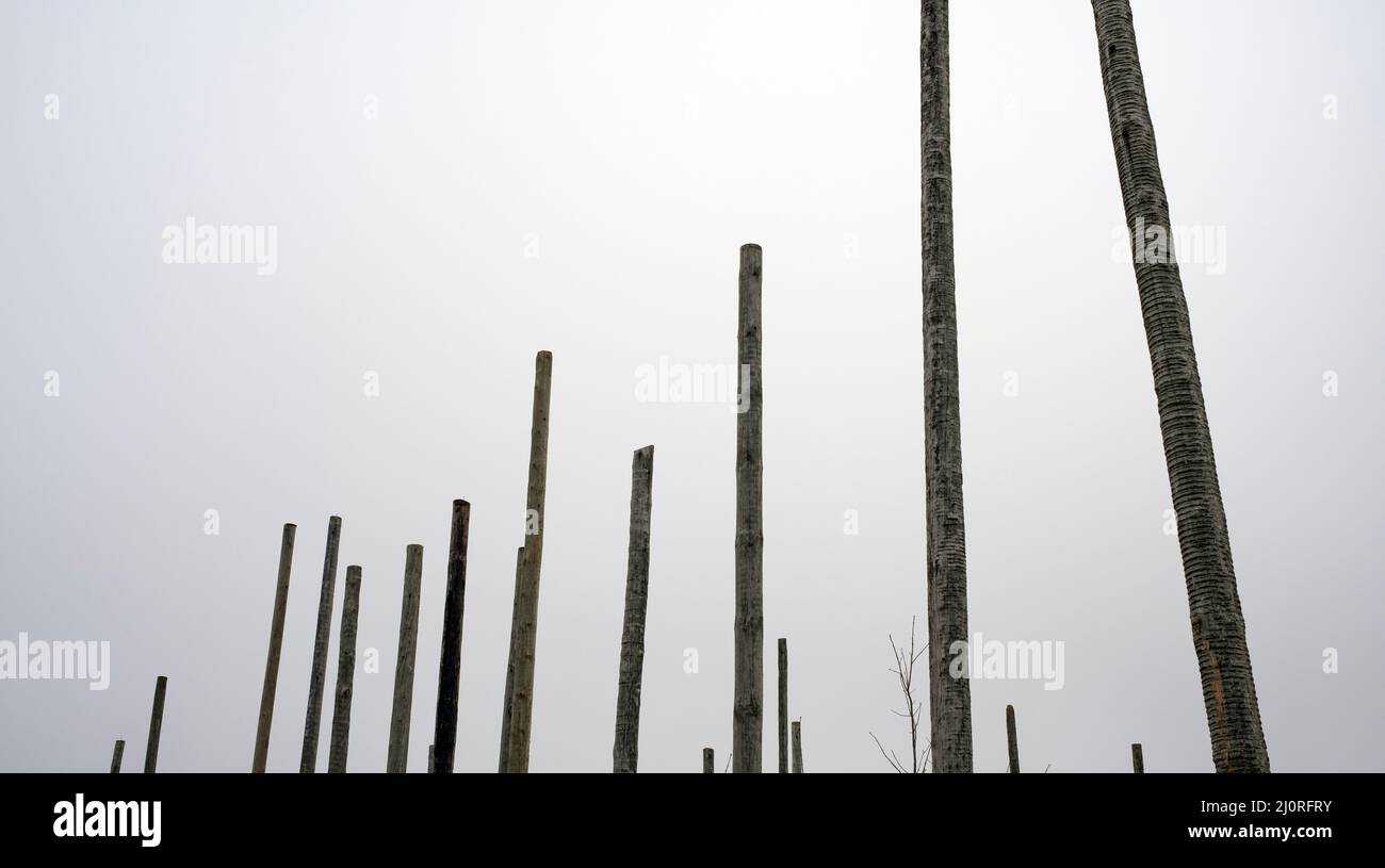 Wooden Poles against the gray colored sky Stock Photo