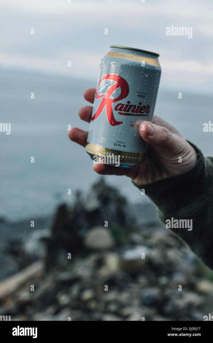Male hand holding up can of Pabst brewing company's Rainier beer near