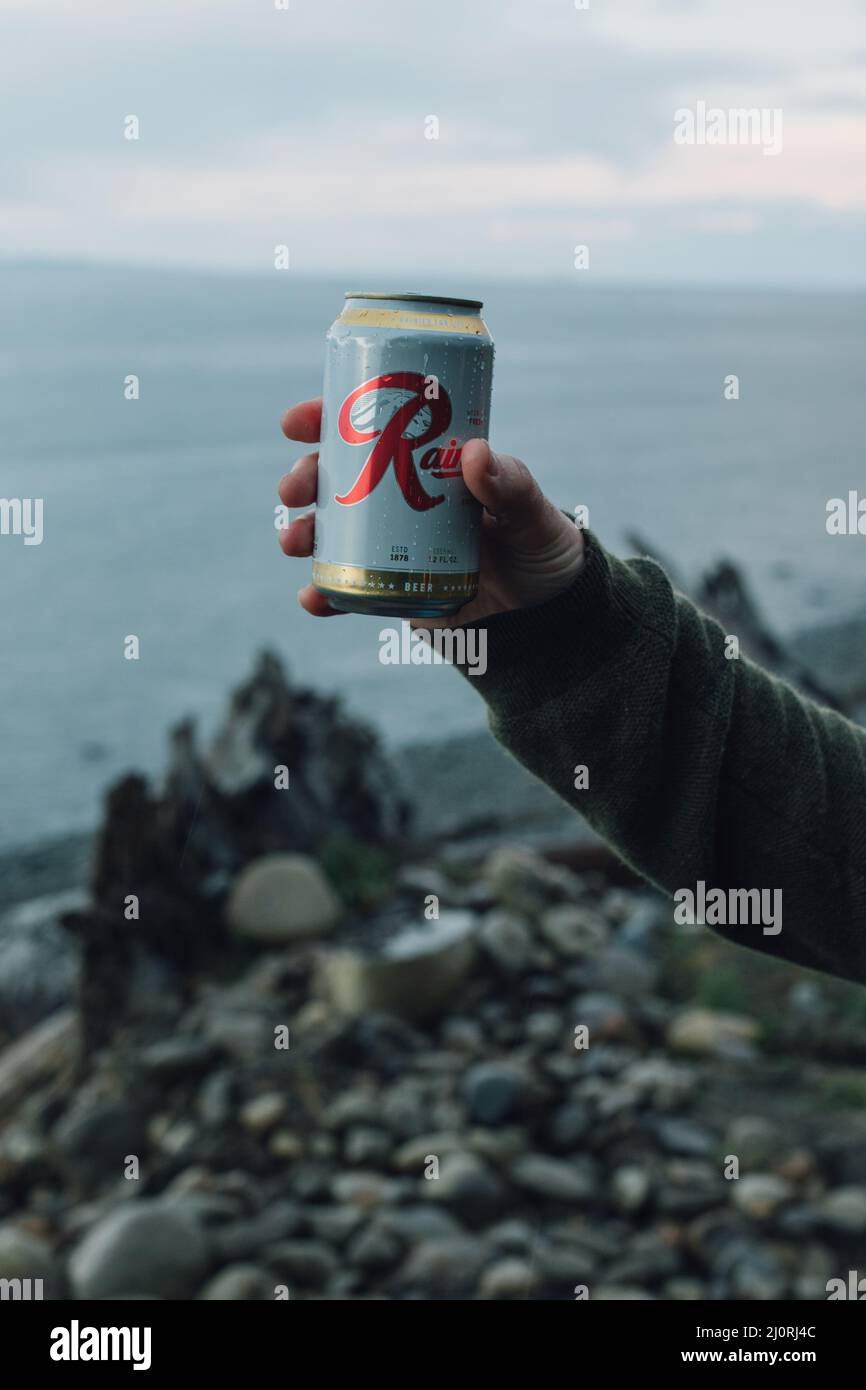 Male hand holding up can of Pabst brewing company's Rainier beer near