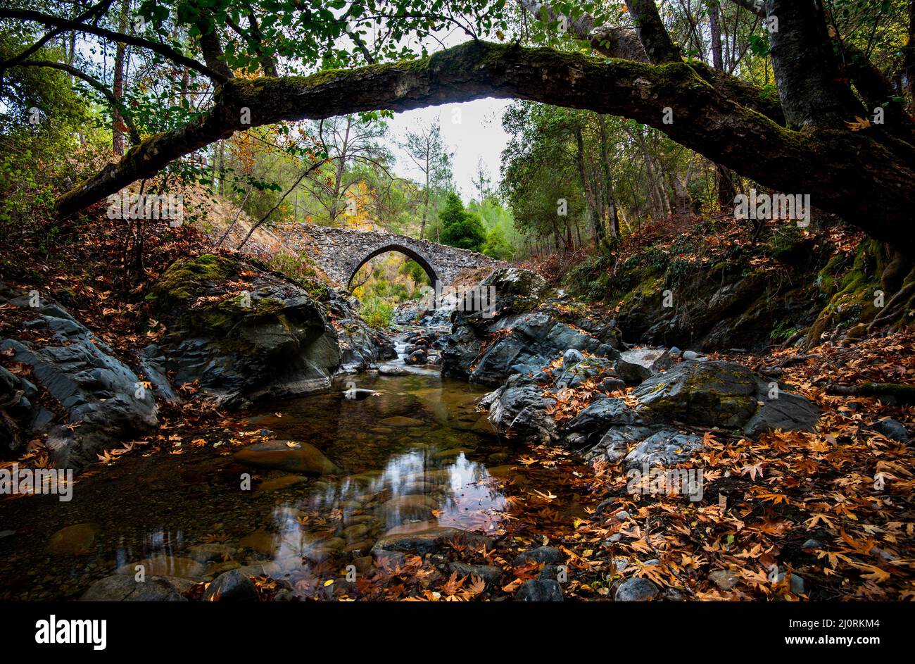 Medieval stoned bridge water flowing in the river in autumn. Stock Photo