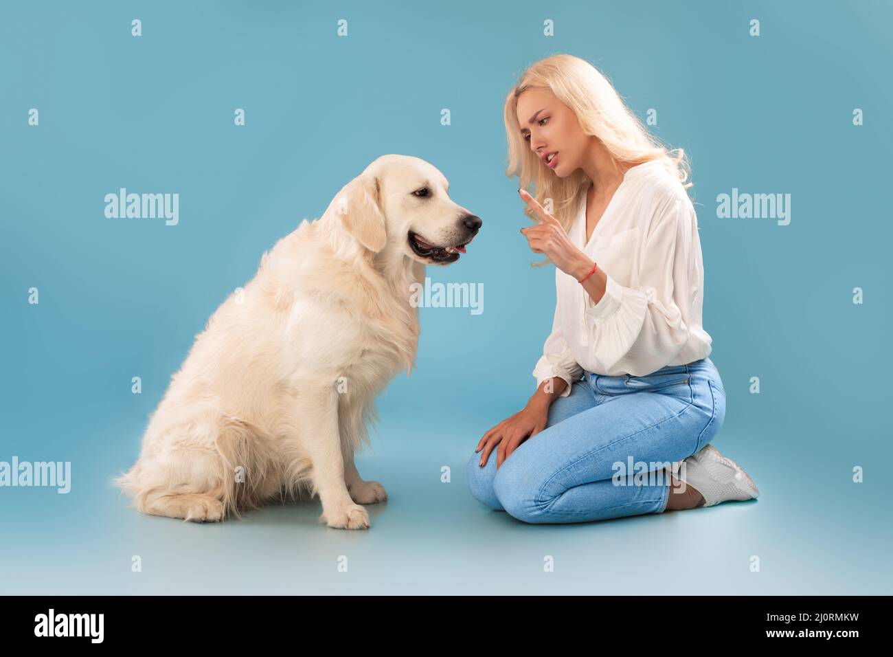 Angry woman scolding her dog at blue studio Stock Photo