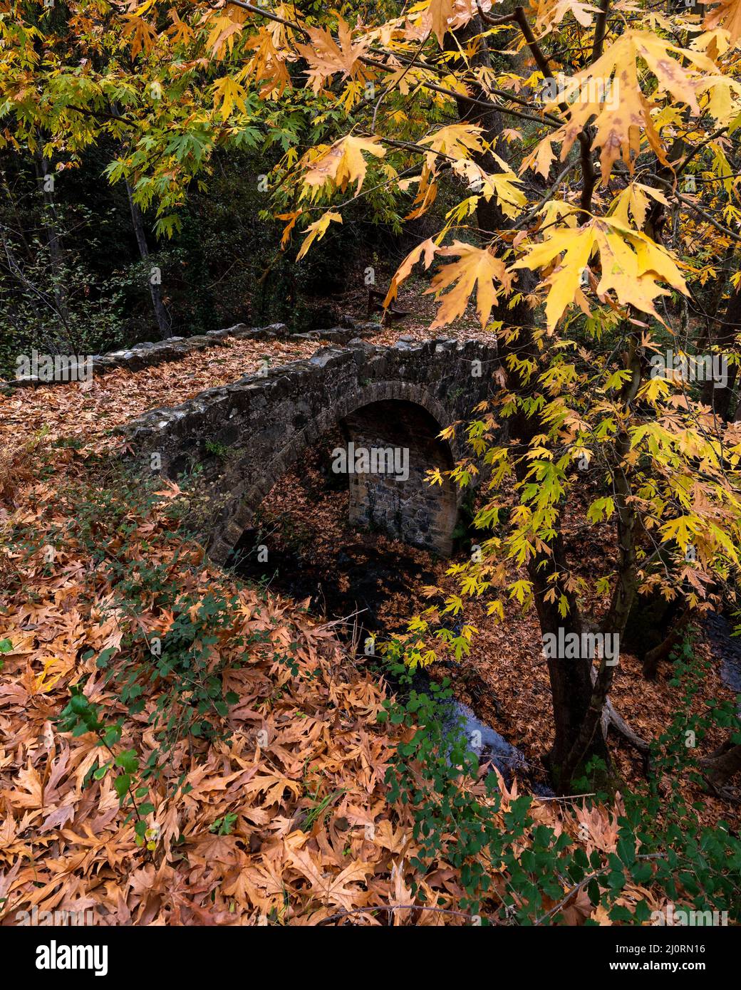 Autumn landscape with river flowing below an ancient stoned bridge and yellow maple leaves on the ground. Drakos medieval bridge Stock Photo