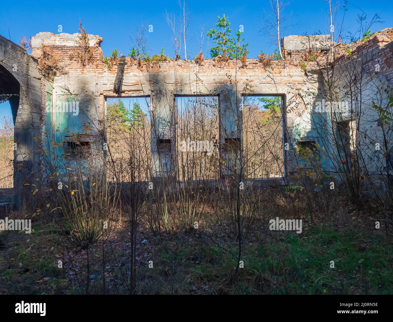 Ruins of an old abandoned building in thicket of grass and shrubs Stock ...