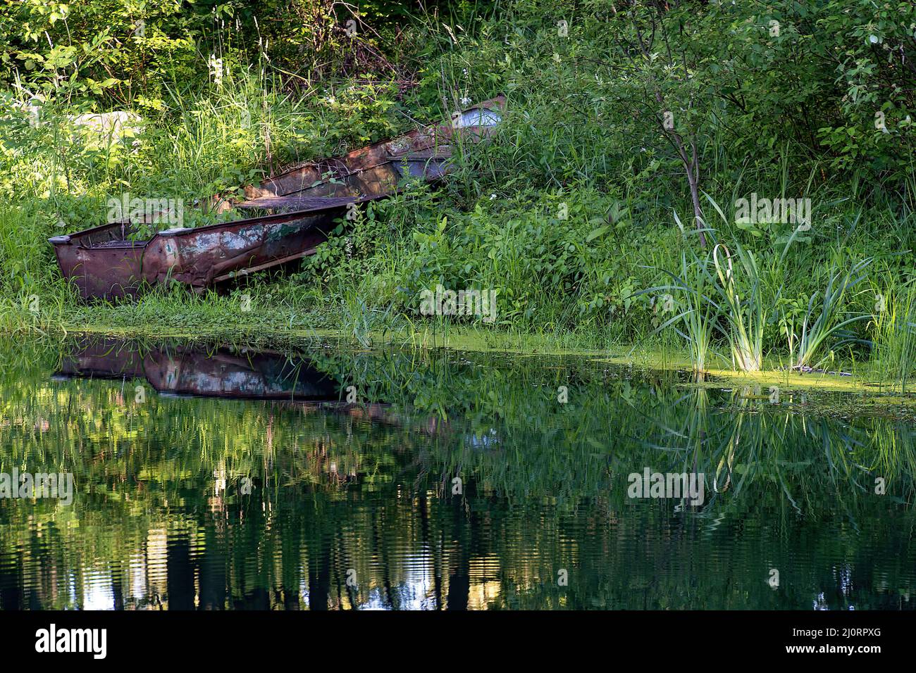 Rusty rowboat in green weeds by still water pond Stock Photo - Alamy