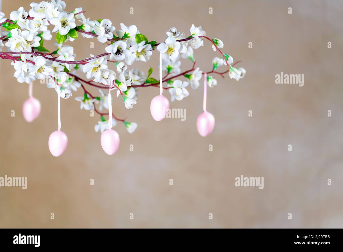 Pink Colored Easter eggs hanging on branch with white flowers Stock Photo