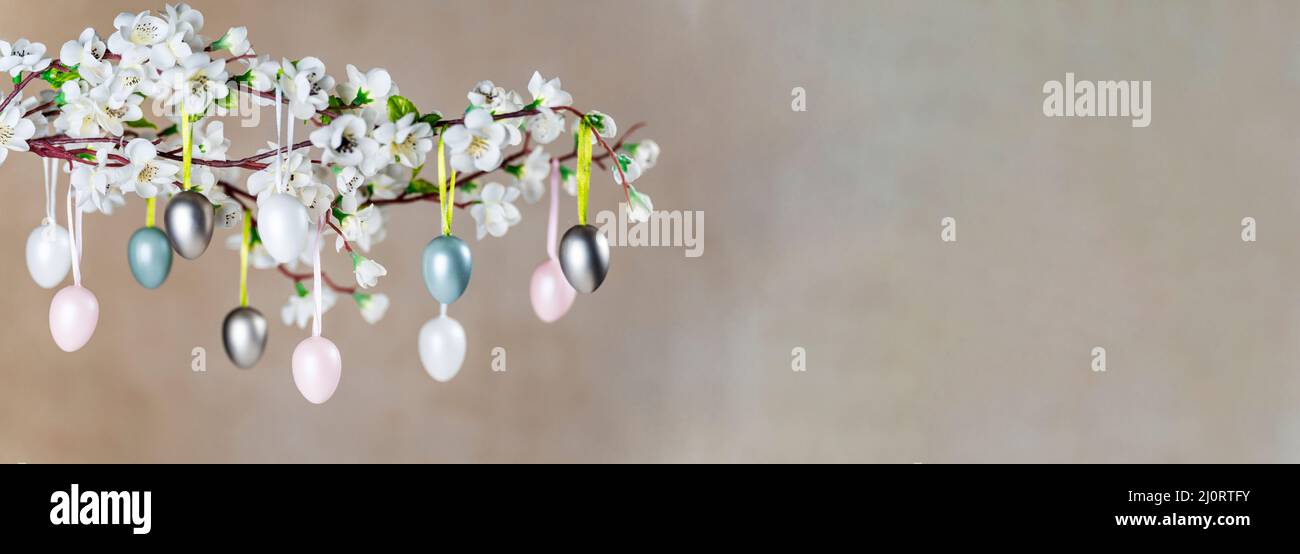 Colored Easter eggs hanging on branch with white flowers Stock Photo