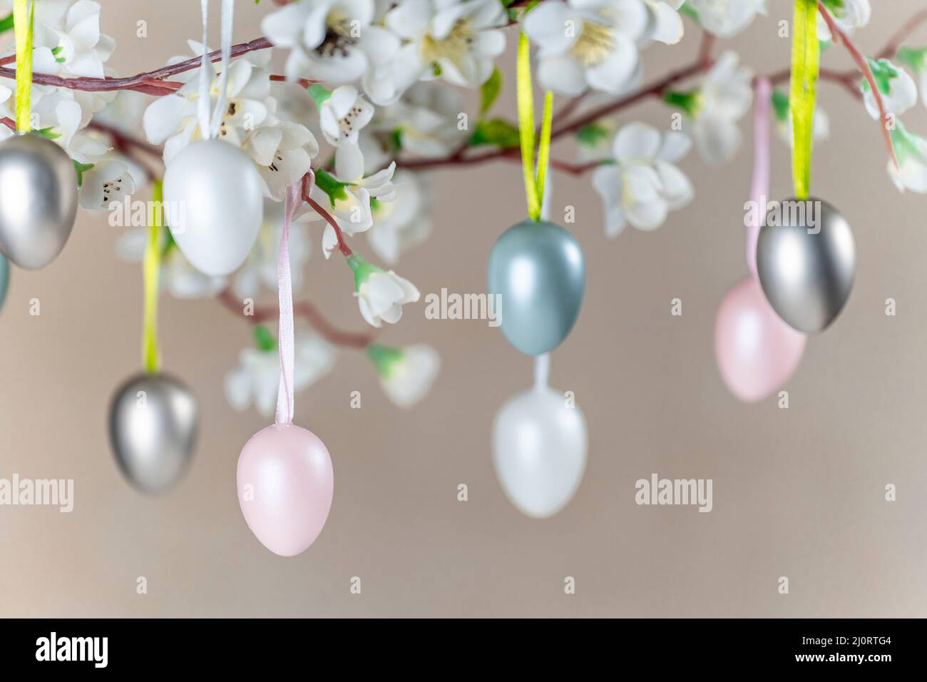 Colored Easter eggs hanging on branch with white flowers Stock Photo