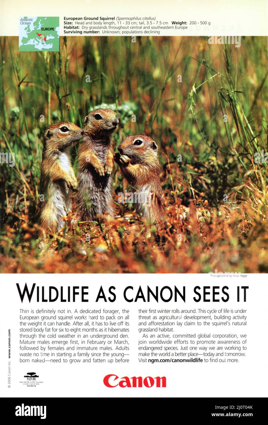 Vintage April 2006 'National Geographic' Magazine Advert, USA Stock Photo