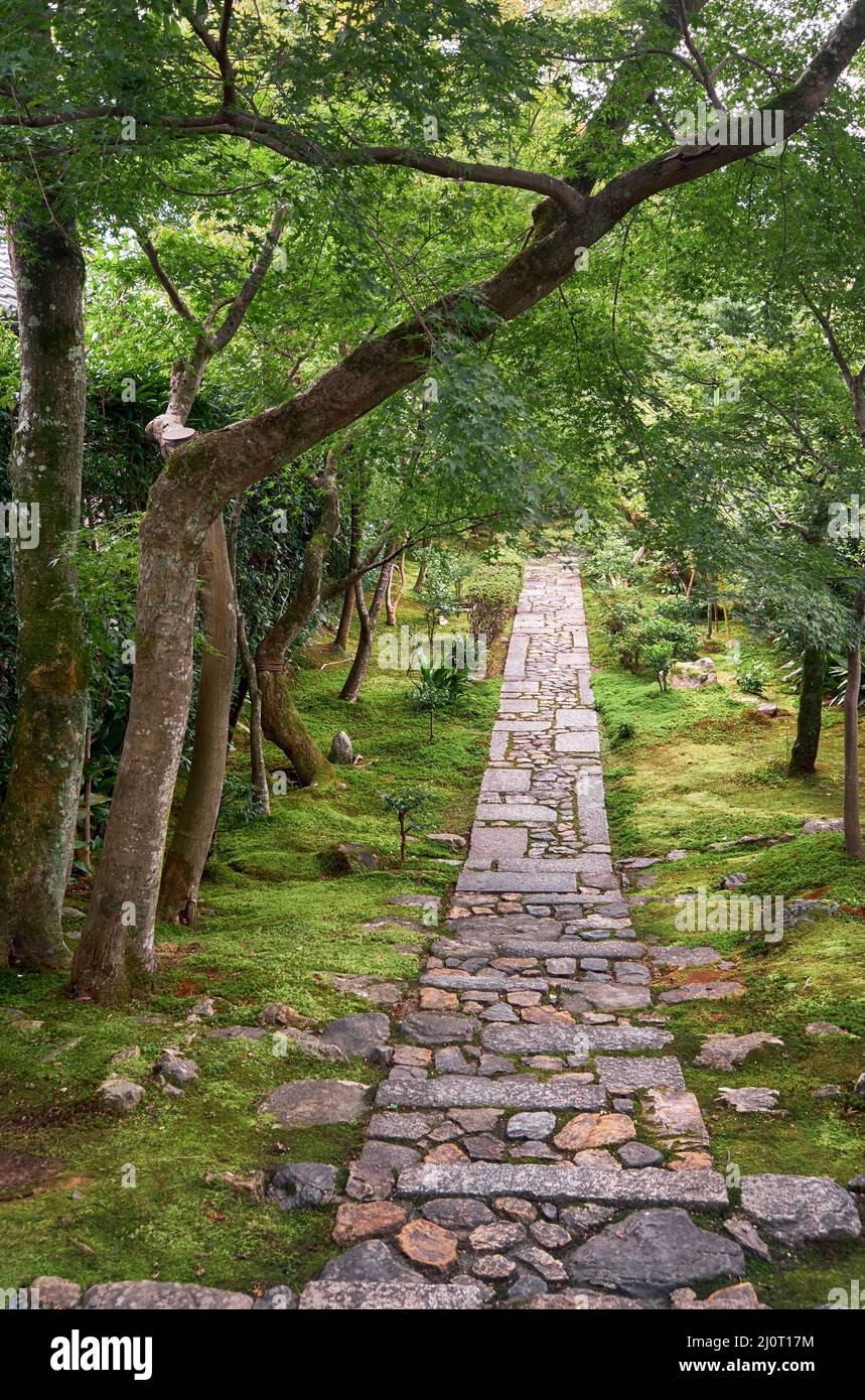 The stone paths under the maple trees in the beautiful garden of Kyoto. Japan Stock Photo
