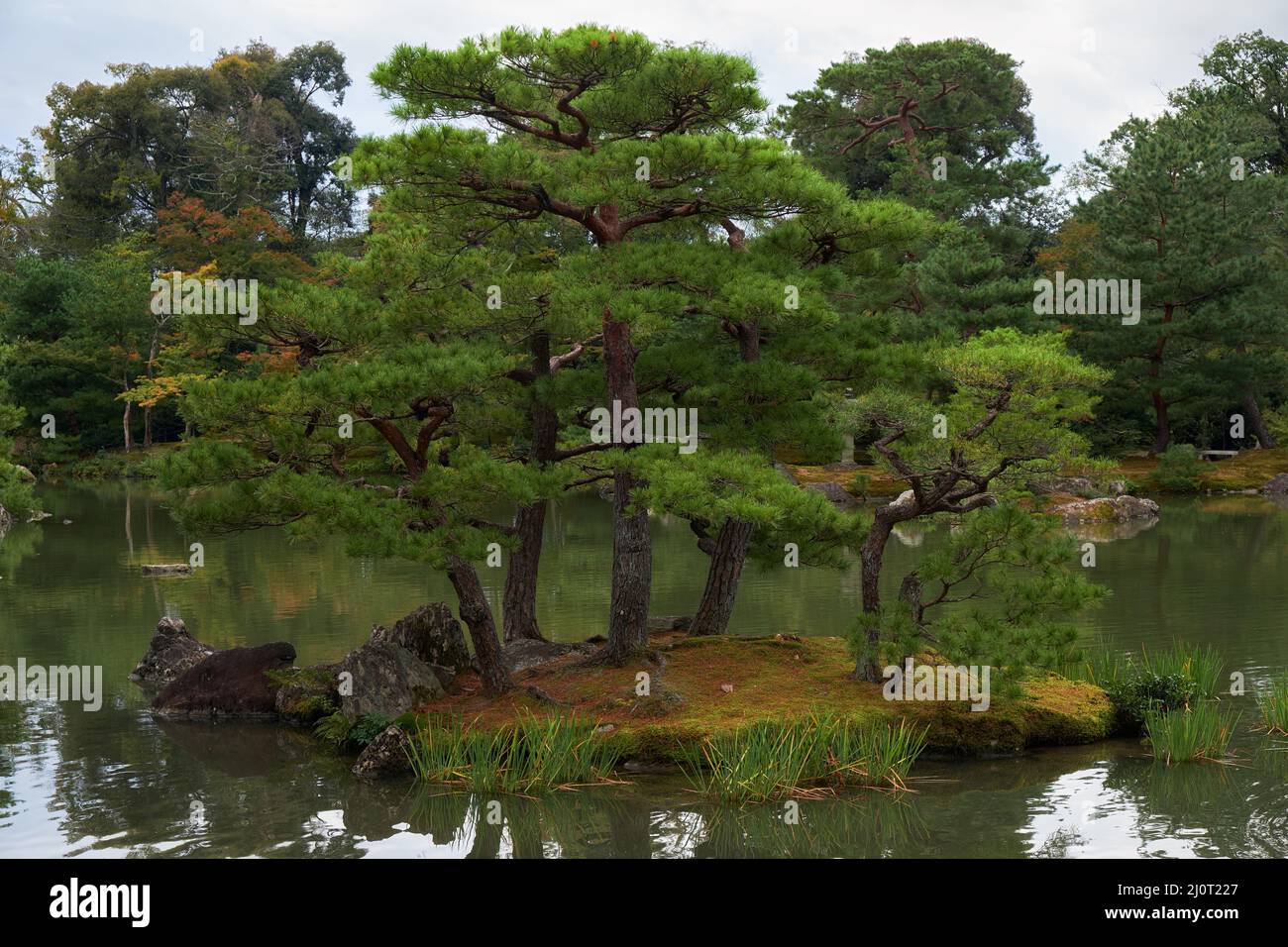 Dekame (leaving turtle) island on the Kyoko-chi pond in the garden of Kinkaku-ji temple. Kyoto Stock Photo