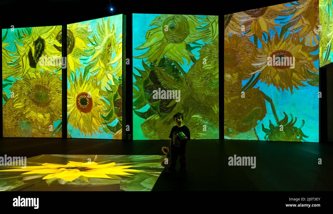 Young child holding sunflowers at Van Gogh Alive art exhibition and experience, Edinburgh