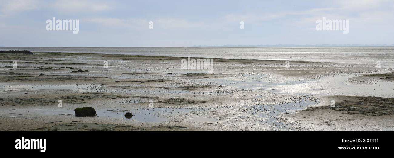 Low tide at the North sea coast, Wangerooge Island Stock Photo - Alamy