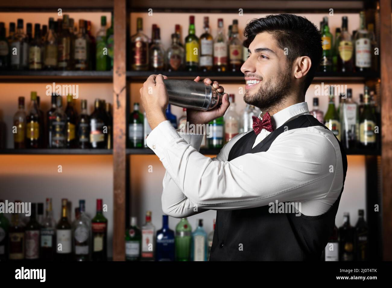 Bartender shaking cocktail shaker in cocktail bar Stock Photo Alamy