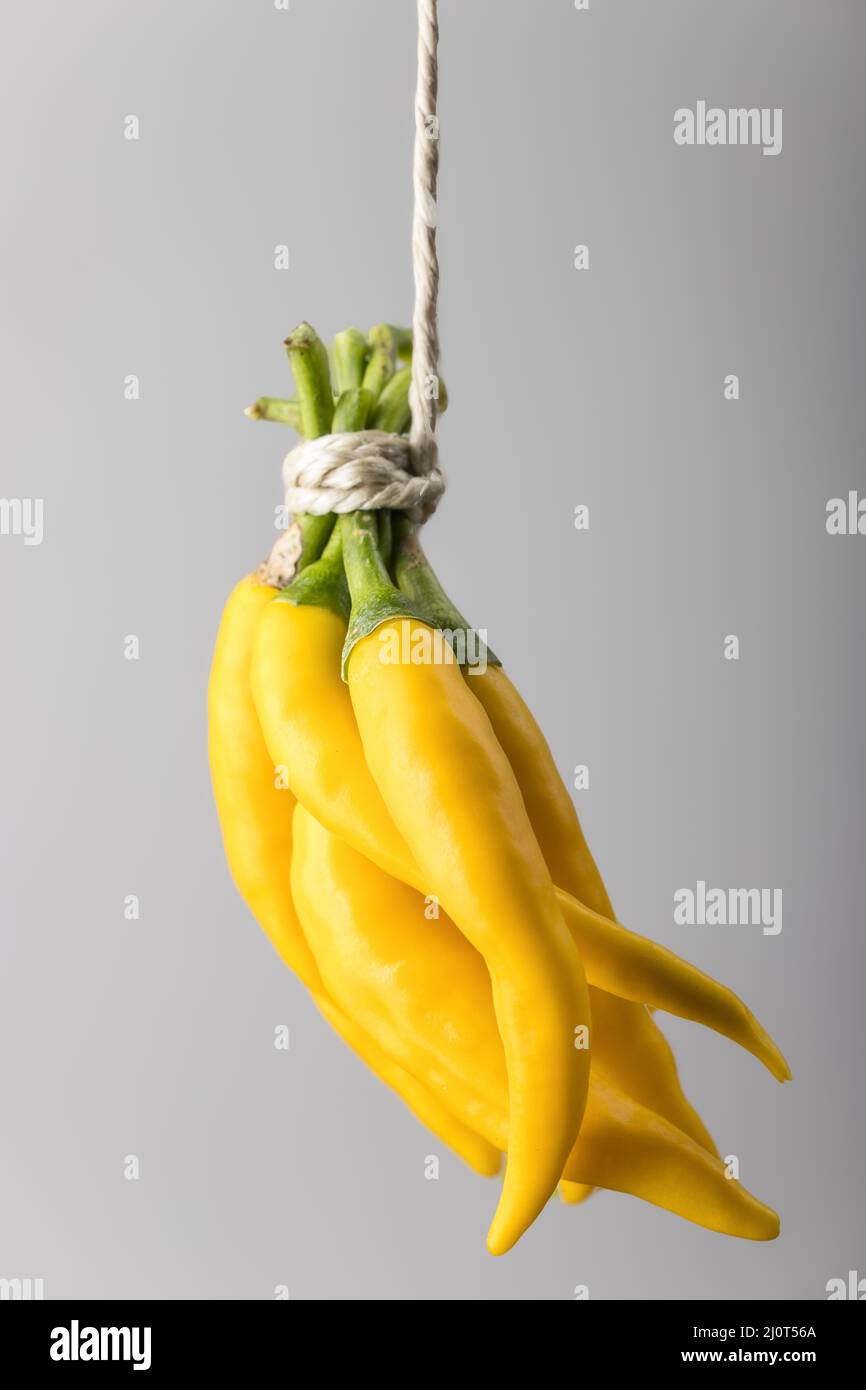 Yellow chili peppers hanging on a string Stock Photo