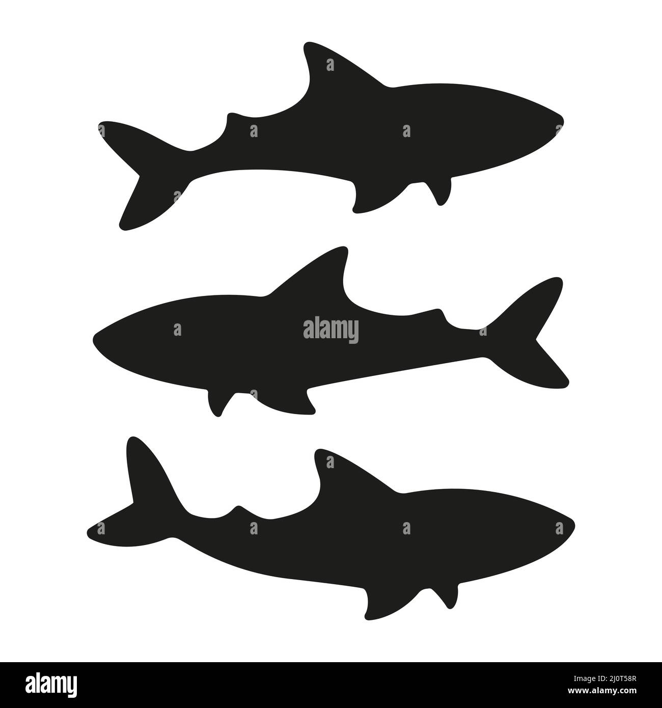 Shark silhouette. Ocean animal. Vector isolated on white. Stock Vector