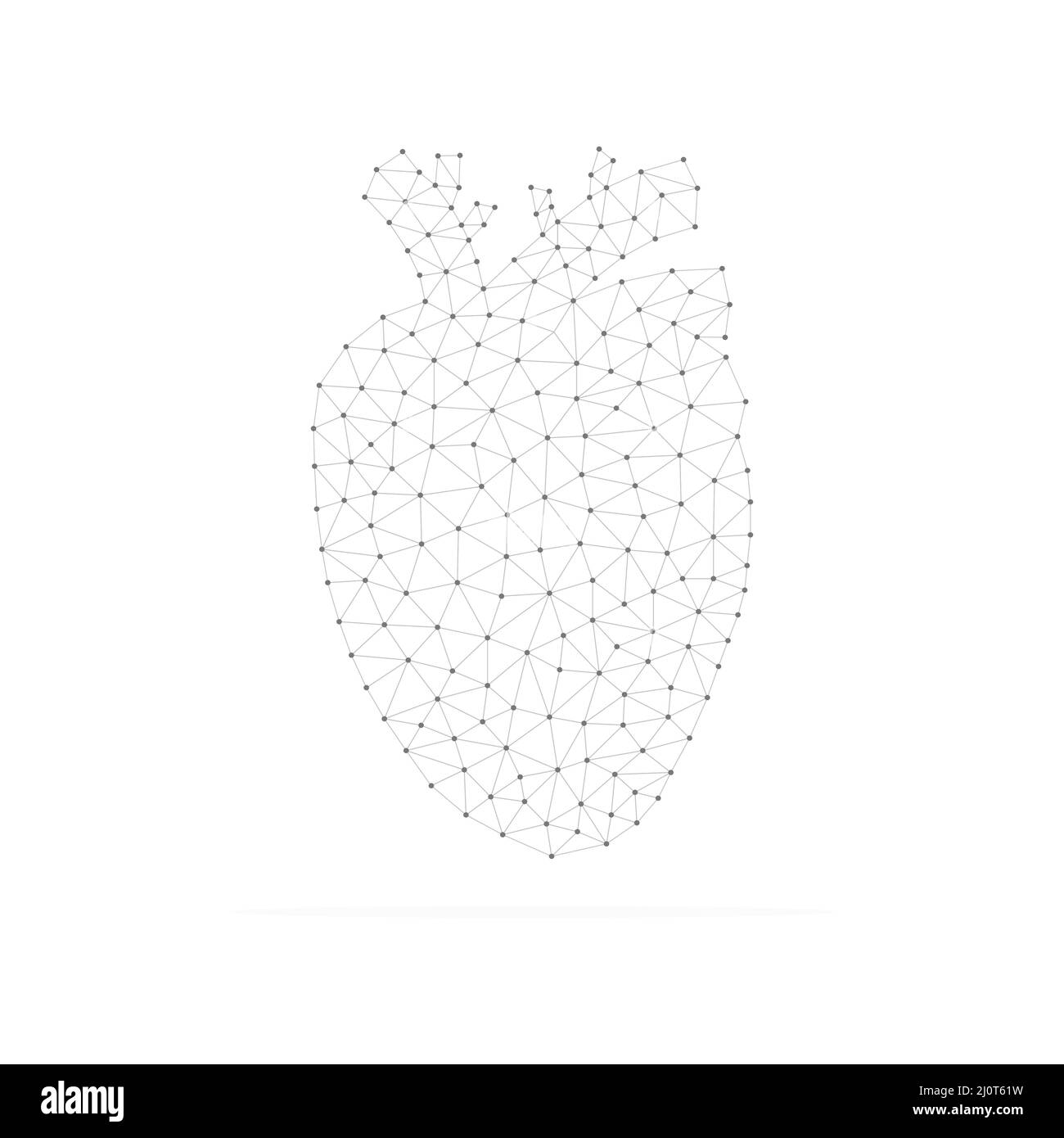 Human heart with low poly black connected dots. Internal organ with triangular linear shapes. Stock Vector