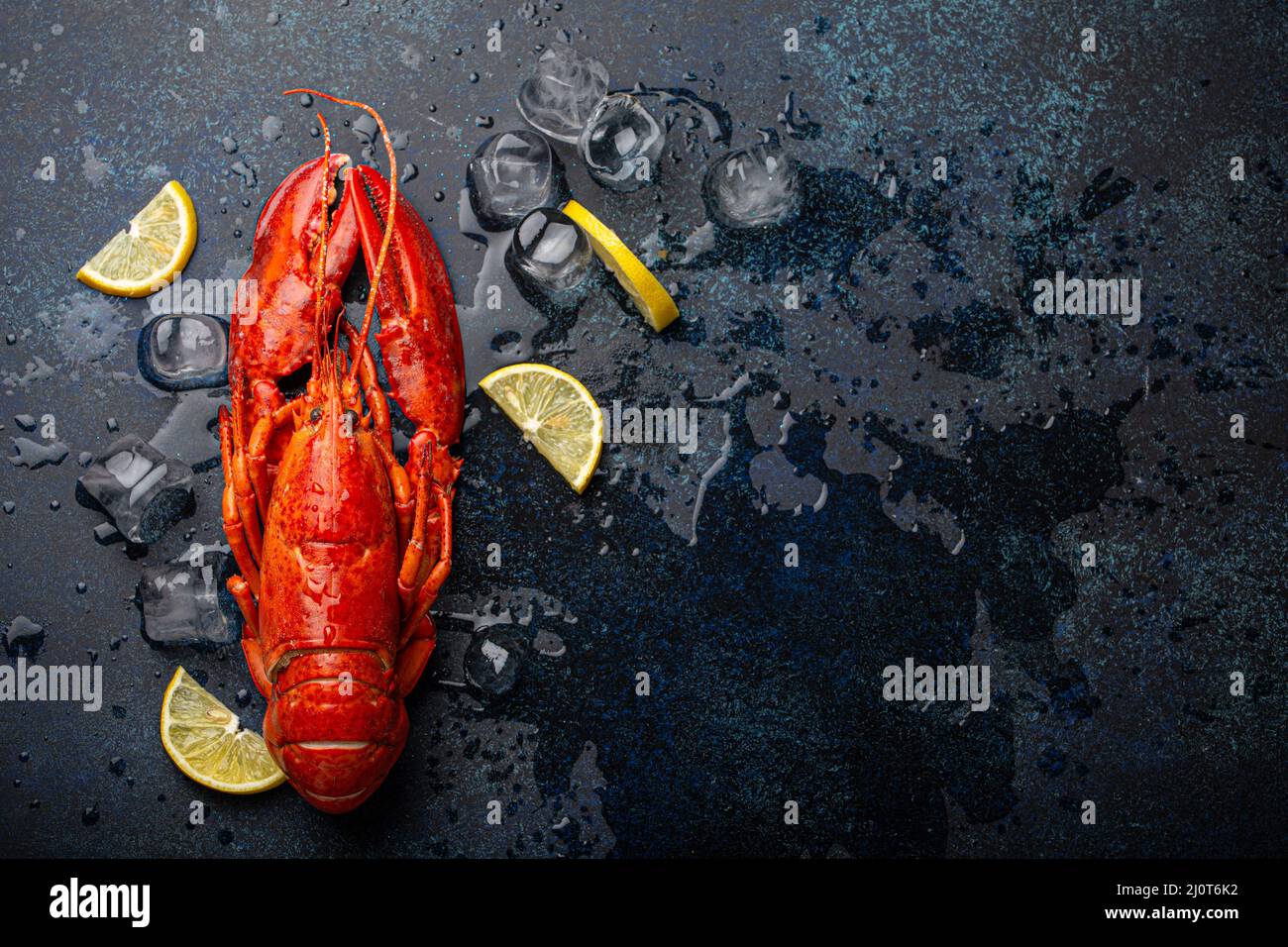 Lobster with lemon and ice cubes top view on blue stone background