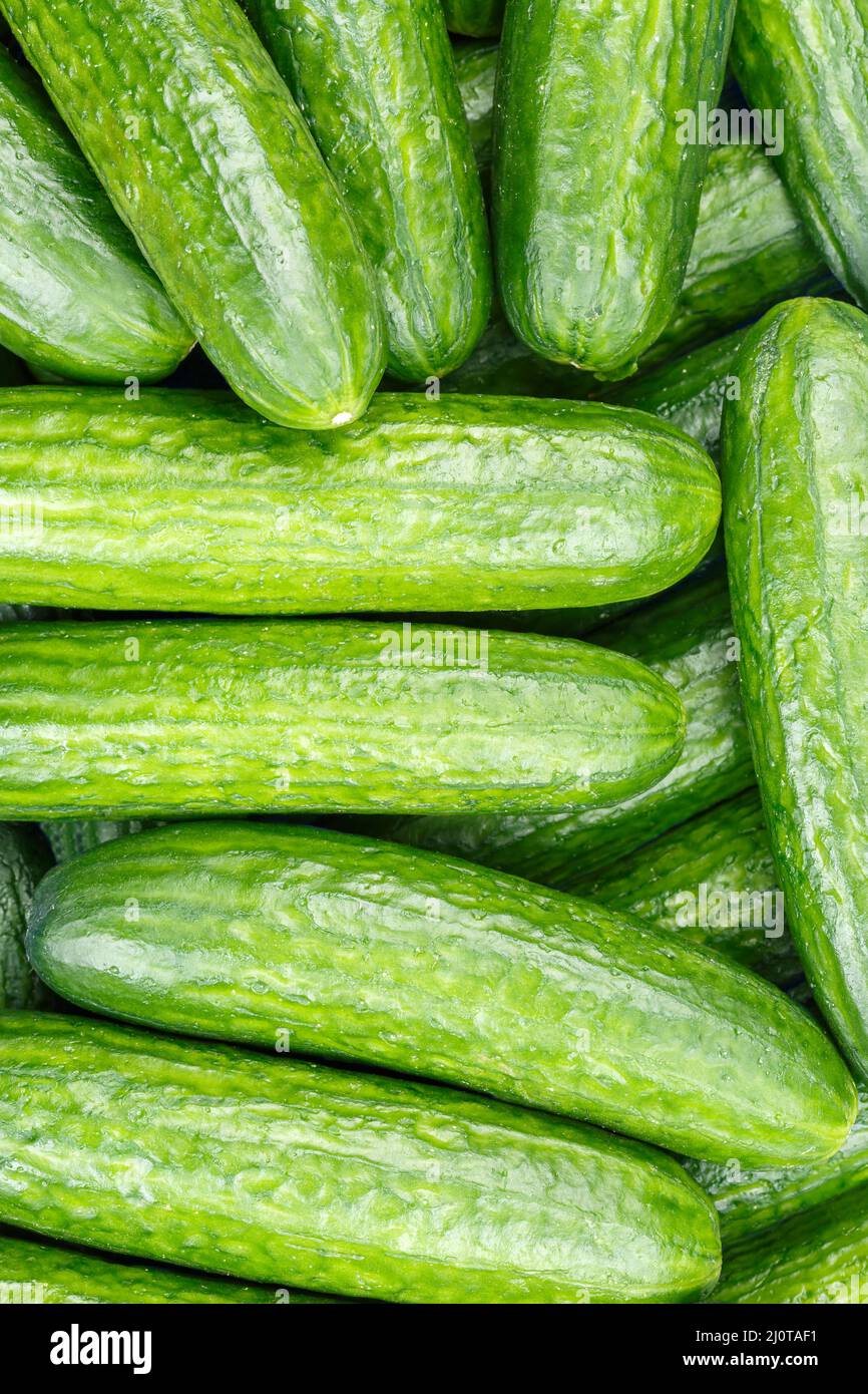 Cucumber Cucumber Vegetable Background From Top Portrait Stock Photo
