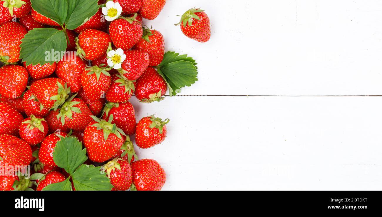 Strawberries berries fruits strawberry berry fruit with text free space copyspace on wooden board panorama Stock Photo