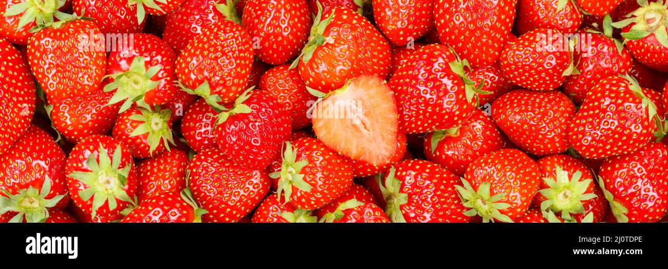 Strawberries berries fresh fruit strawberry berry fruit from above panorama Stock Photo