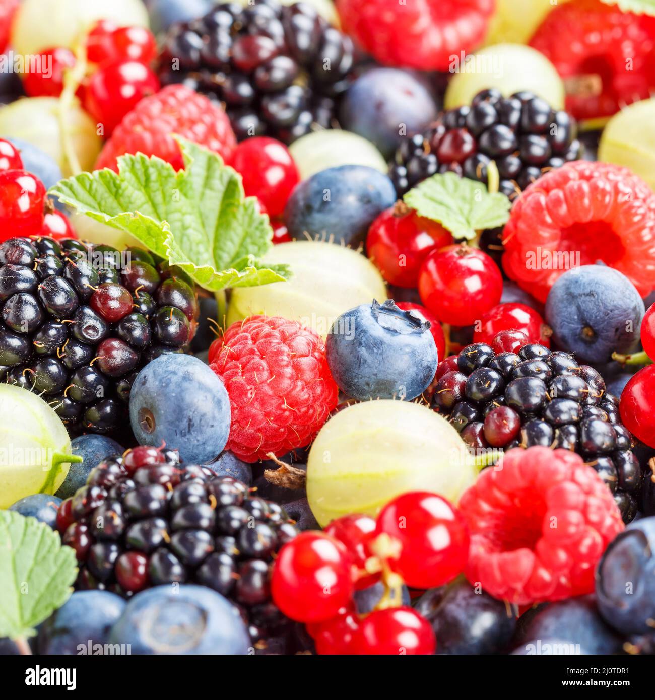 Berries fruits berry fruit like strawberries strawberry fresh blueberries blueberry square Stock Photo