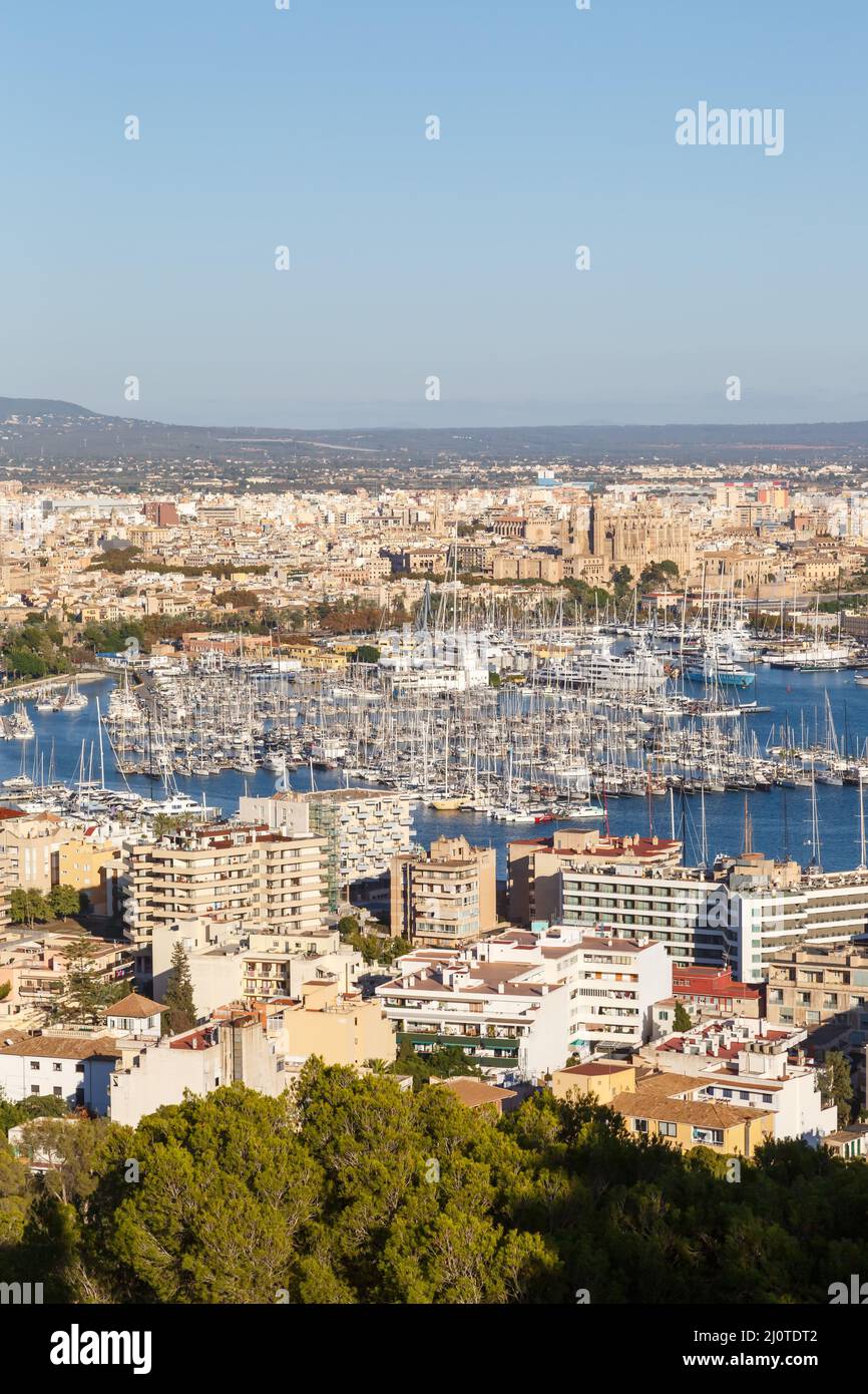Palma de Mallorca marina port with boats vacation travel city portrait in Spain Stock Photo