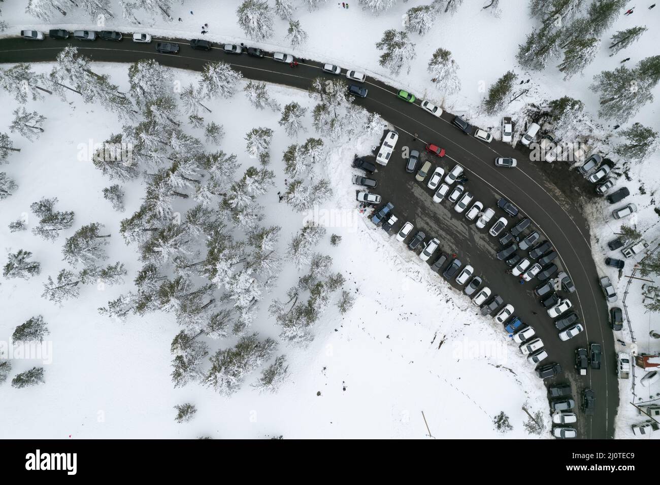 Drone aerial of a car parking on the snowy forest mountain in winter. Stock Photo