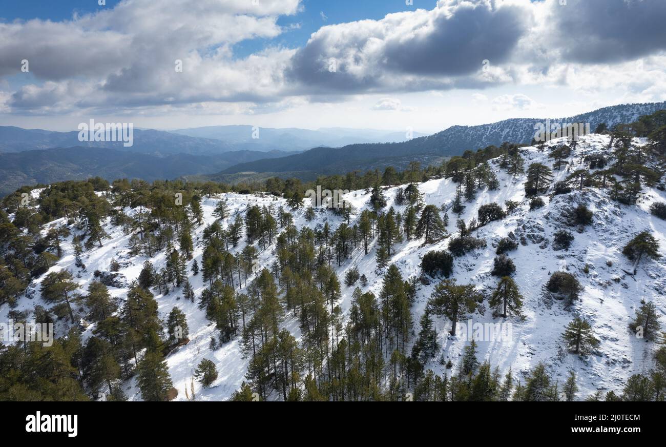 Drone aerial scenery of mountain snowy forest landscape covered in snow. Wintertime photograph Stock Photo