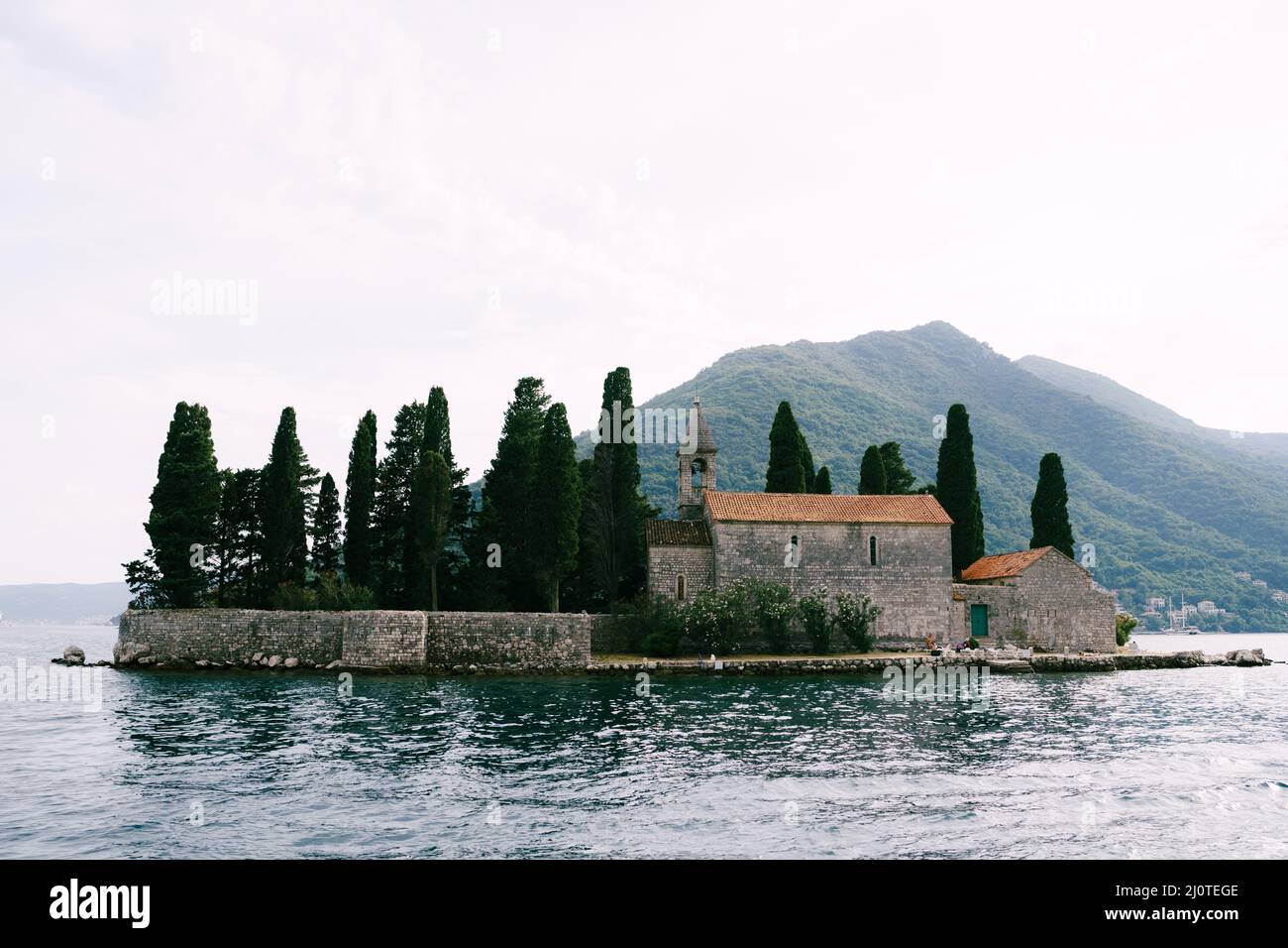Tall century-old cypresses around the monastery on the island of St. George. Montenegro Stock Photo