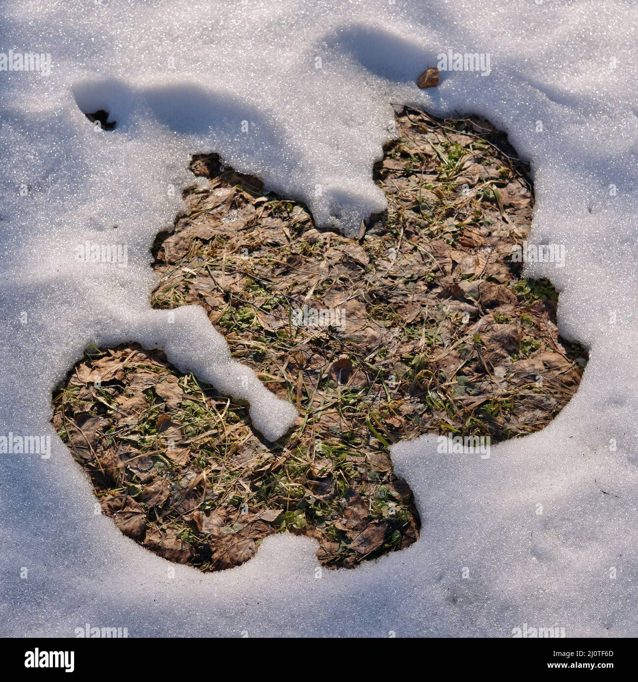 Melting snow on the fields in early spring. Natural spring background. Stock Photo