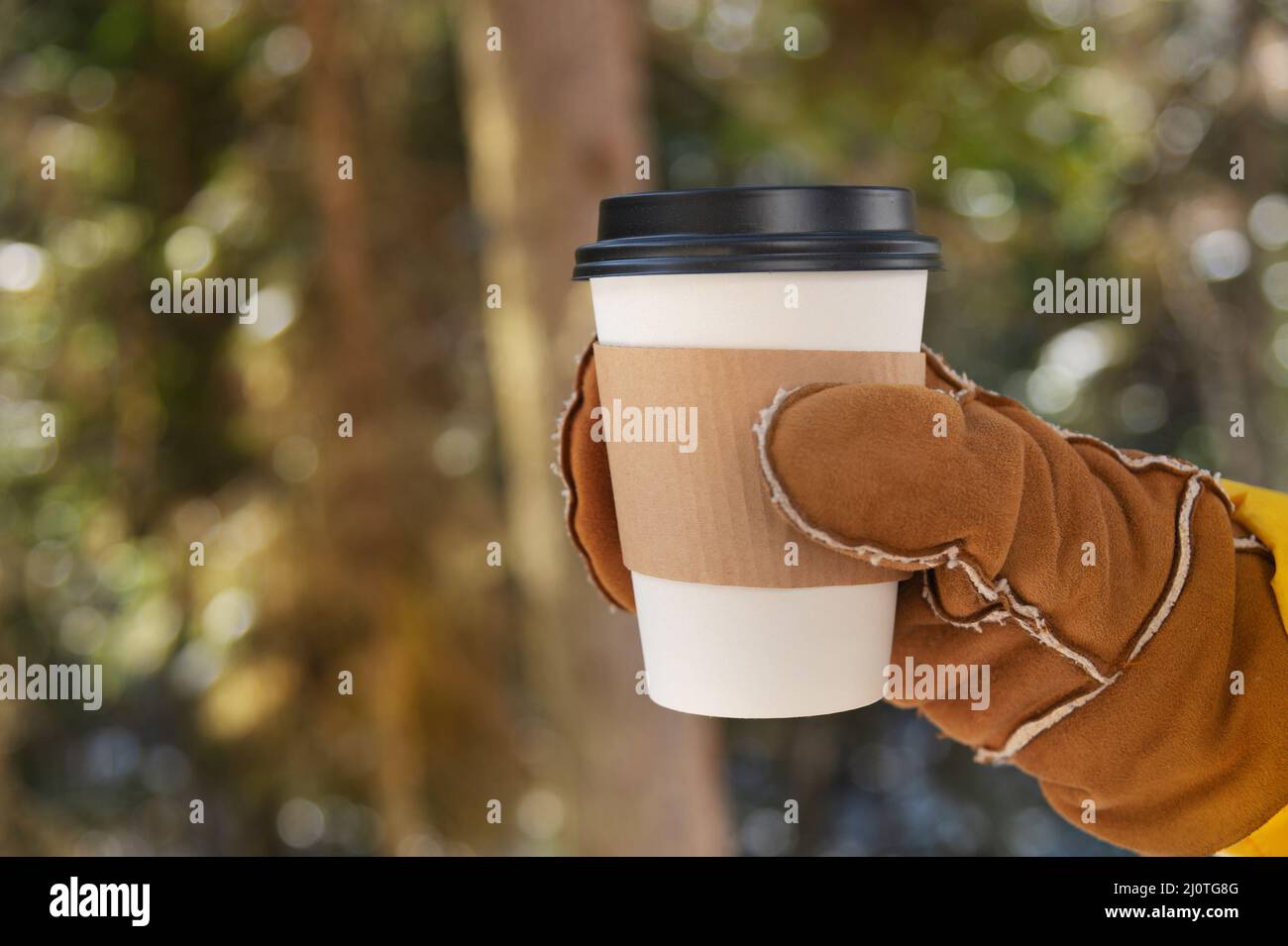 Close-up of a female hand in a mitten holding a paper cup with coffee or tea outdoors in a winter coniferous forest Stock Photo
