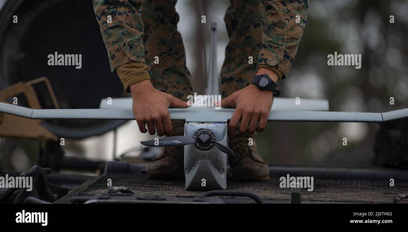 U.S. Marine Corps Sgt. Wilfredo Hernandez, an assault amphibious vehicle (AAV) crewman, and Voorhees, New Jersey native, with 2d Assault Amphibian Battalion (2d AABn), 2d Marine Division, attaches the main wing of a Puma Unmanned Aircraft System during a field exercise on Camp Lejeune, North Carolina, Jan. 25, 2022. 2d AABn tested the capability of an assault amphibious vehicle and a light armored vehicle with Remote Weapon Systems as a suitable land-based platform for mobile reconnaissance and scouting. (U.S. Marine Corps photo by Lance Cpl. Ryan Ramsammy) Stock Photo