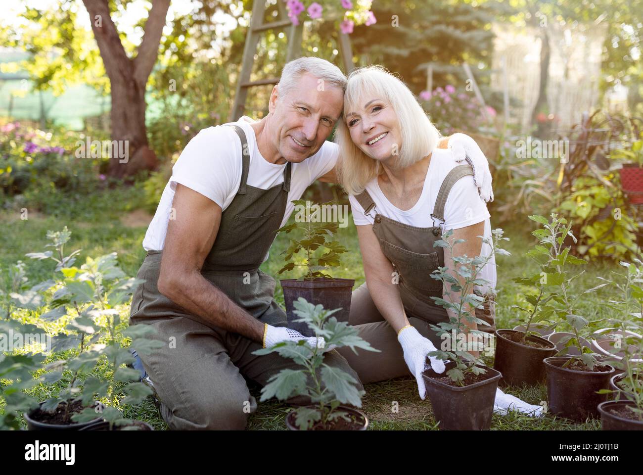 Gardeners couple plant pot hi-res stock photography and images - Alamy