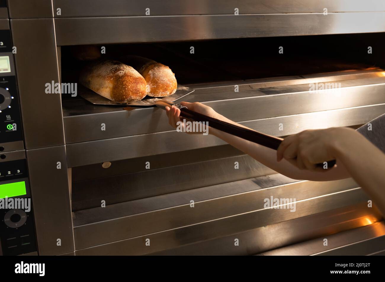 Female hands in gloves hold a shovel with a loaf of artisan bread. He