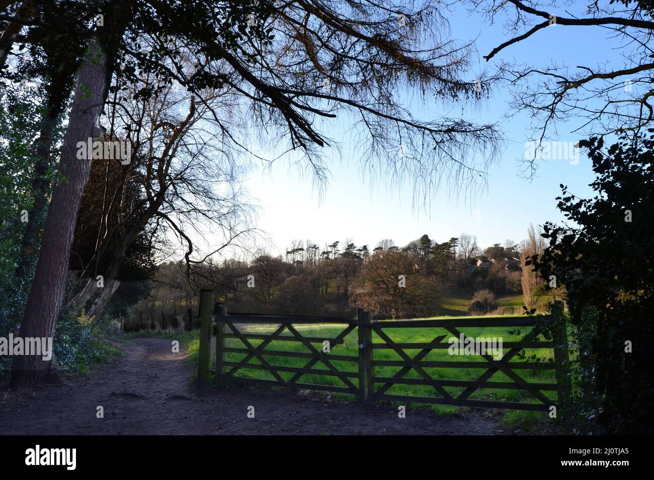 Petts wood and hawkwood estate hires stock photography and images Alamy