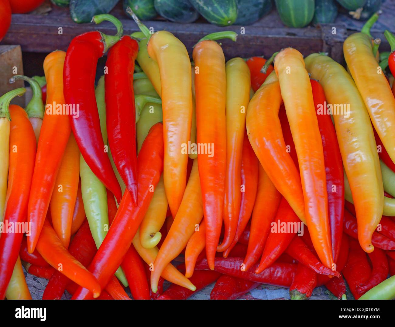 Colorful hot chili peppers at farmers market stall Stock Photo - Alamy