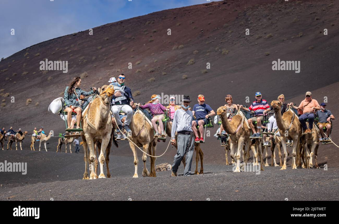 Group of camesl taking tourists for a ride on Lanzarote, Spain on 9 March 2022 Stock Photo