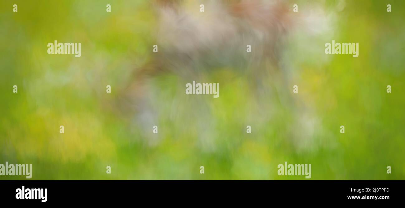 Surreal Blurred Abstract Art Colorful Background Stock Photo