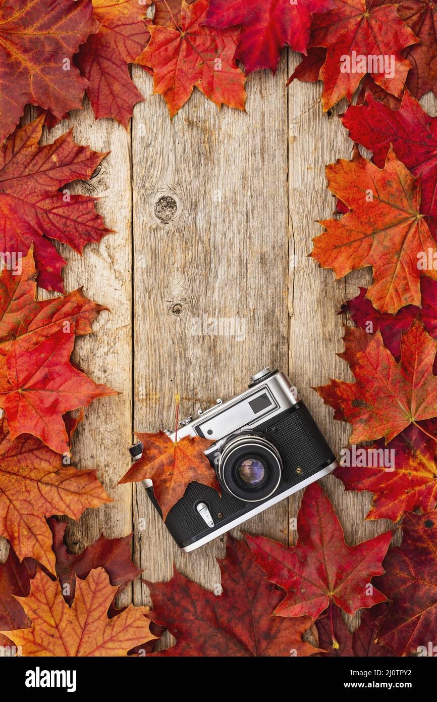 Old camera and red autumn maple leaves Stock Photo