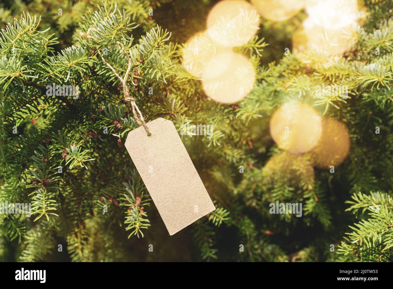Price tag hanging on Christmas tree Stock Photo - Alamy