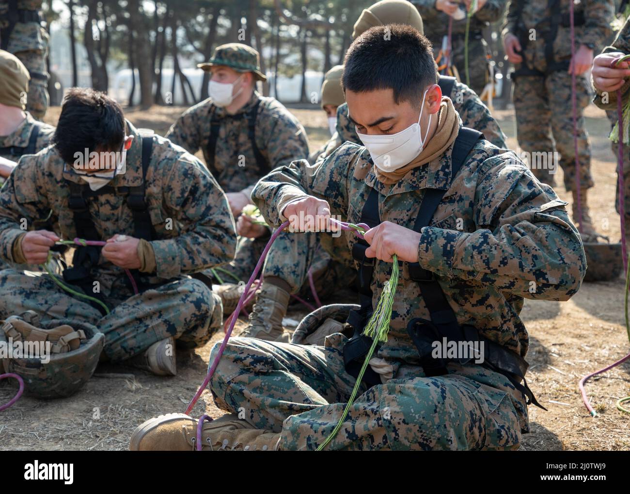 U.S. Marines with U.S. Marine Corps Forces Korea and 3D Sustainment Group (Experimental), 3D Marine Logistics Group practice tying knots during a ropes course with Republic of Korea Marine Corps Ranger School in Pohang, South Korea, Jan. 27, 2022. The course increased the Marines’ readiness with rappelling and rope work while improving interoperability with our partners and allies. (U.S. Marine Corps photo by Sgt. Ash McLaughlin) Stock Photo