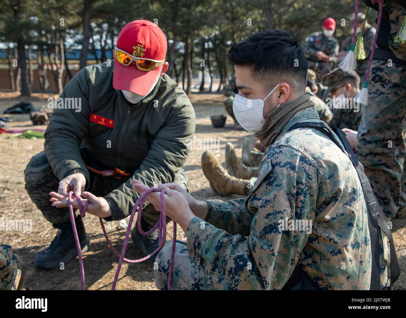 U.S. Marine Corps Sgt. Mathew Calderon, a data systems administrator with U.S. Marine Corps Forces Korea, right, practices tying knots during a ropes course with 3D Sustainment Group (Experimental), 3D Marine Logistics Group and Republic of Korea Marine Corps Ranger School in Pohang, South Korea, Jan. 27, 2022. The course increased the Marines’ readiness with rappelling and rope work while improving interoperability with our partners and allies. (U.S. Marine Corps photo by Sgt. Ash McLaughlin) Stock Photo
