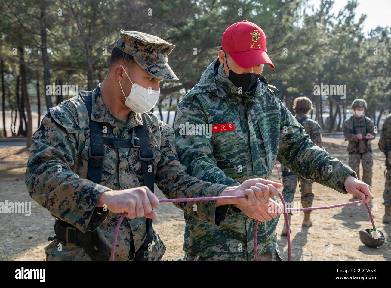 U.S. Marine Corps Sgt. Donovan Hage, a tactics instructor with 3D Sustainment Group (Experimental), 3D Marine Logistics Group, left, learns how to tie knots during a ropes course with U.S. Marine Corps Forces Korea and Republic of Korea Marine Corps Ranger School in Pohang, South Korea, Jan. 27, 2022. The course increased the Marines’ readiness with rappelling and rope work while improving interoperability with our partners and allies. (U.S. Marine Corps photo by Sgt. Ash McLaughlin) Stock Photo
