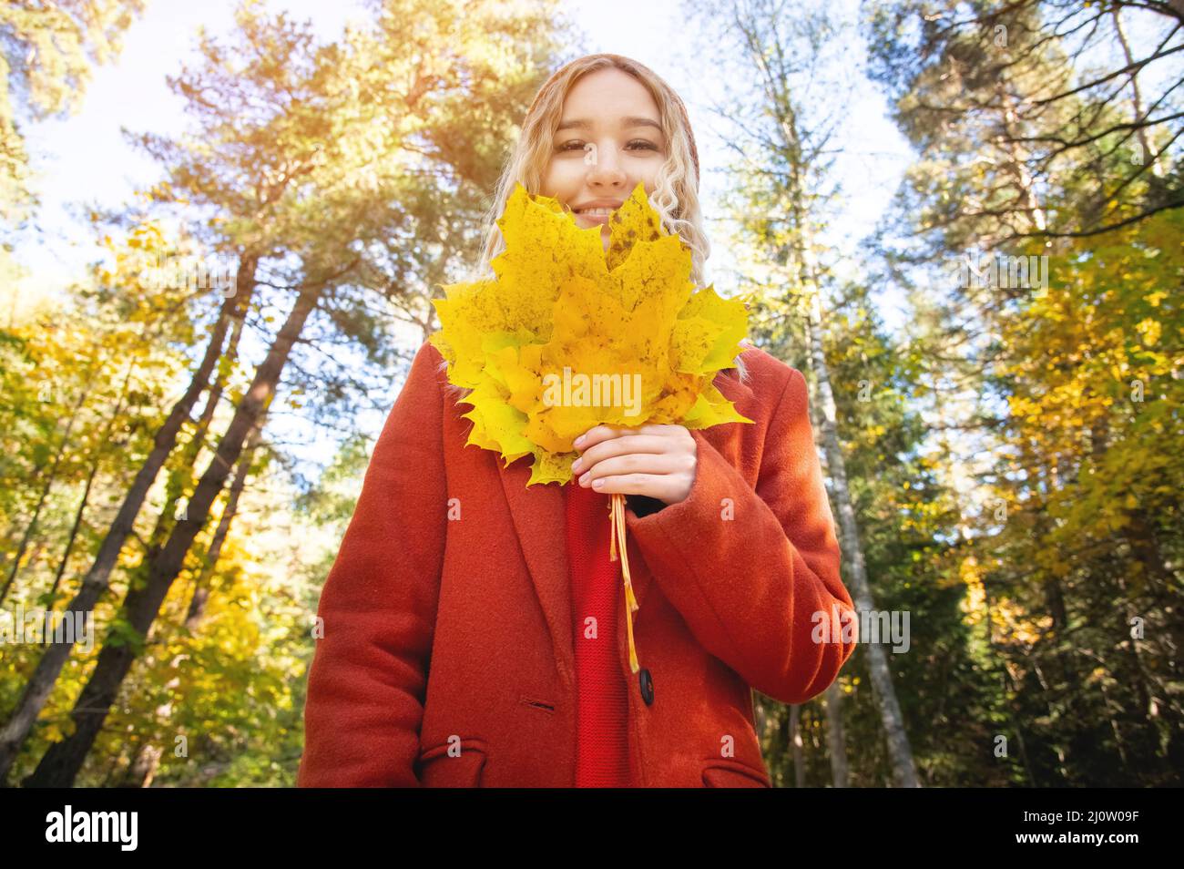 Attractive white Caucasian girl in red polto and orange hat is confused with a bouquet of leaves in her hands against the backgr Stock Photo