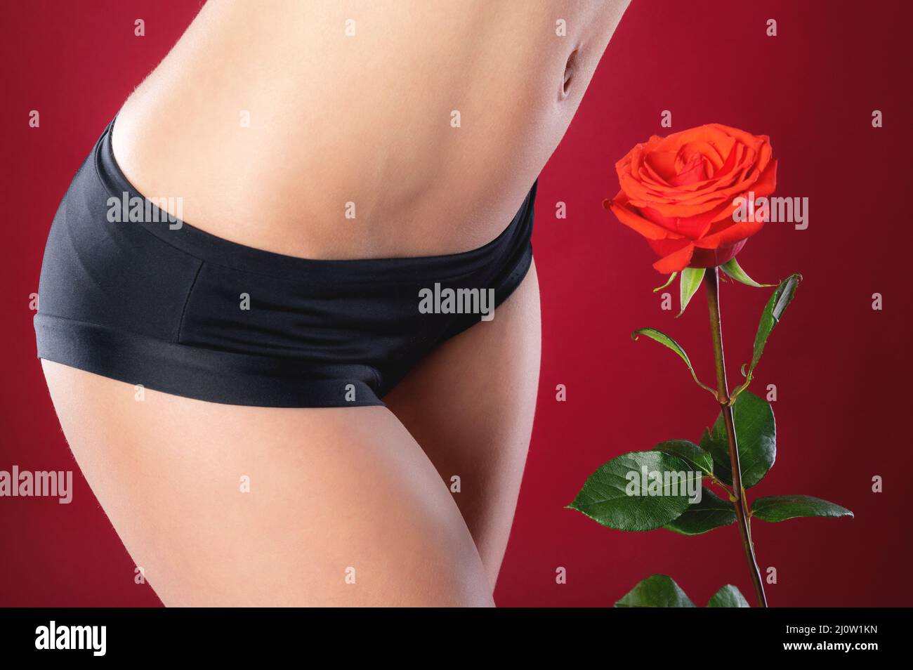Close-up of the thigh and underbelly of the women on the red background next to the flower rose red. The concept of tenderness o Stock Photo