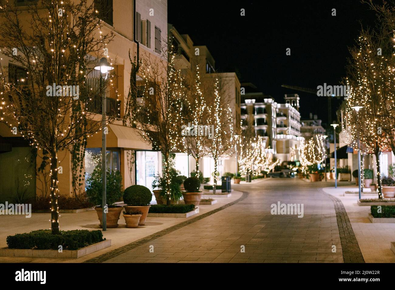 Trees on the street decorated with garlands for Christmas. Stock Photo