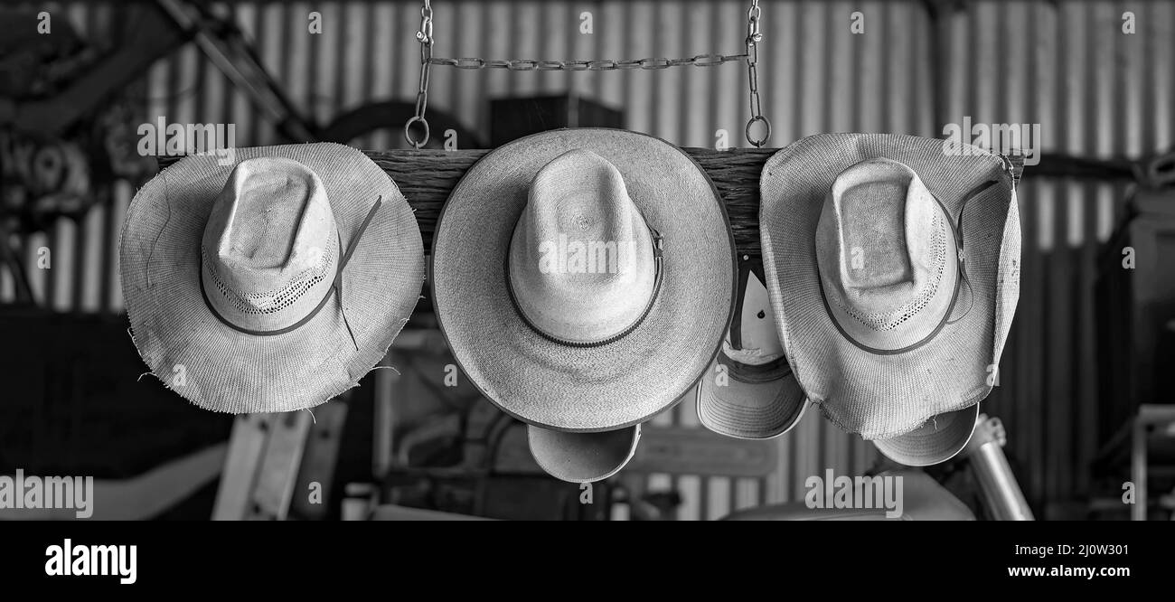 Three old straw hats hanging from chained timber in a shed Stock Photo